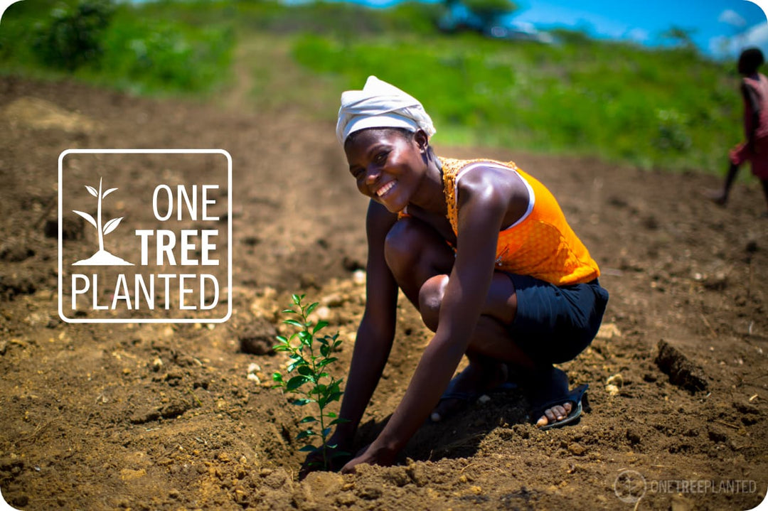 Een Groenere Toekomst: Buvanha's Samenwerking met One Tree Planted